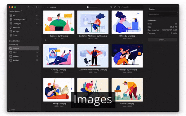 Eagle Image Management Application: Previews feature