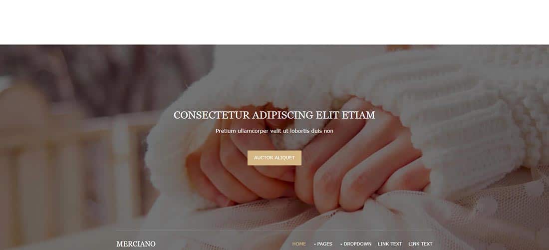 Merciano Free Website Template _ Free CSS Templates _ Free CSS Open Source Template for Easy Modification