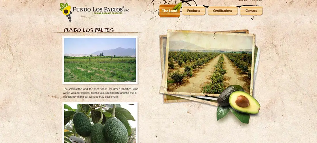 Fundo Los Paltos Websites with Inspiring Backgrounds