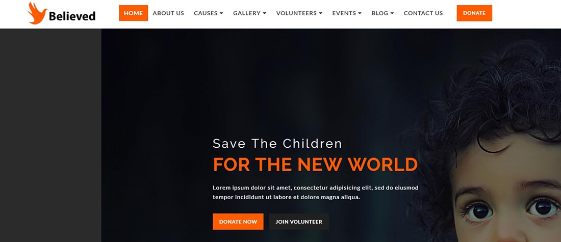 Believed - Non Profit Website Template