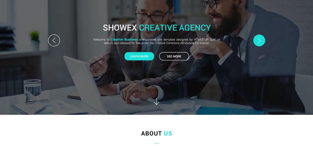 SHOWEX Corporate Landing Page