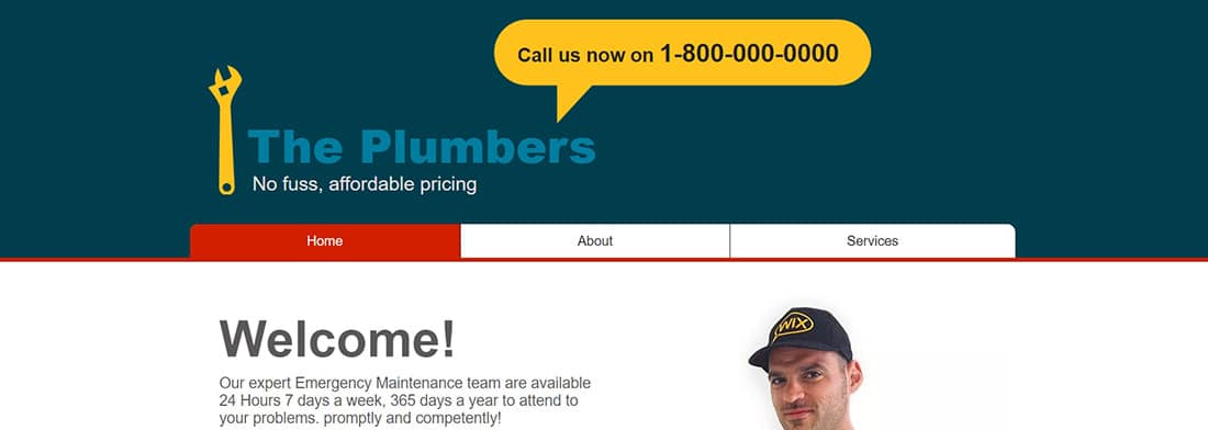 Plumber Website Template _ WIX