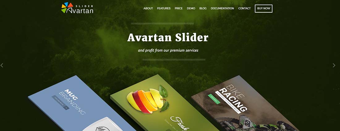 WordPress Slider Plugin