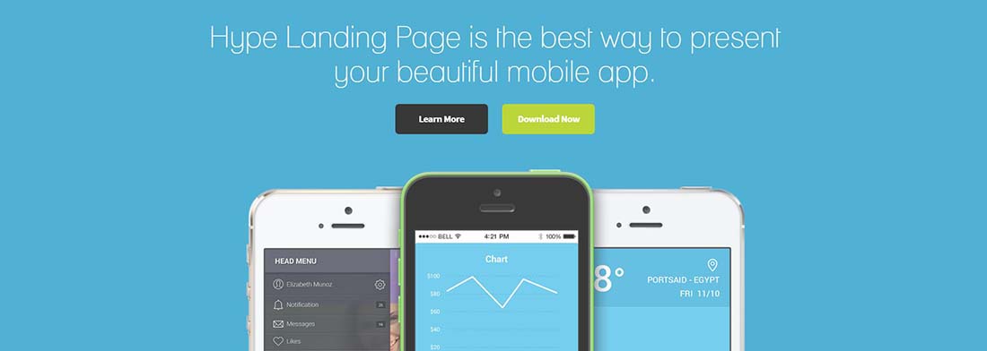 WordPress App Landing Page