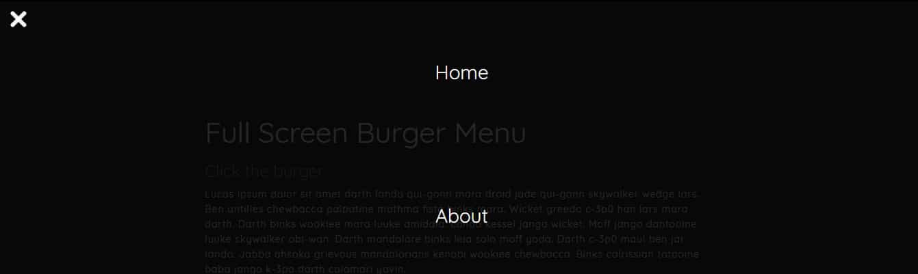 Full-screen-burger-menu