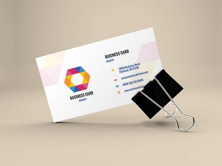 Logo design showcase - Use examples to explain the logo