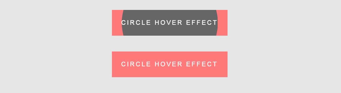 Circle Hover Effect material design css snippets