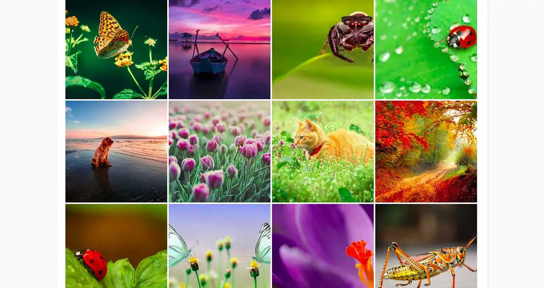 14 User Gallery WordPress Plugin