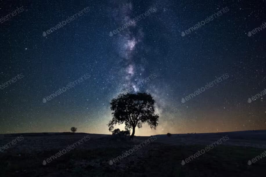 Milky Way Above A Tree Image