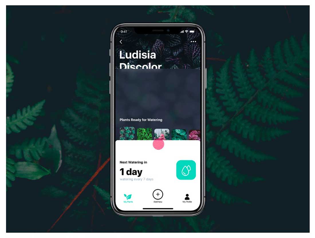 2 Watering App User Interface Designs