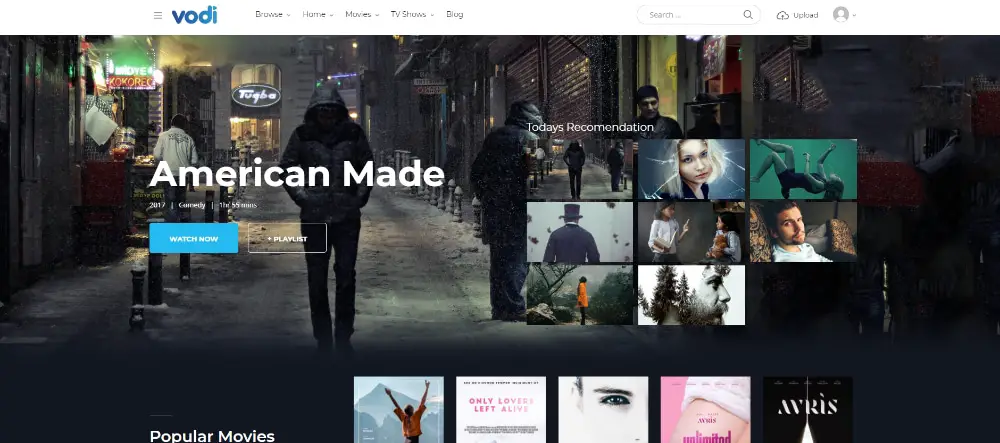 Creative WordPress themes for Video Bloggers: Vodi