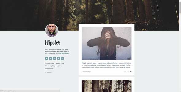 21 Hipster Tumblr Theme