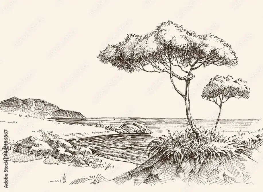 Tree at Sea Shore - Hand Drawing