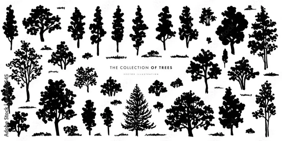 Trees sketch set