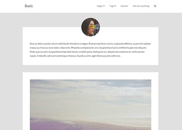 27 Basic Tumblr Theme