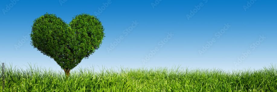 Heart shaped tree on green grass