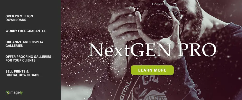 NextGen WP Plugin