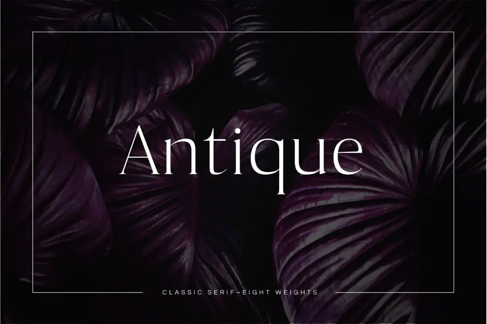 Best Fonts for Brochures & Flyers: Antique Luxury