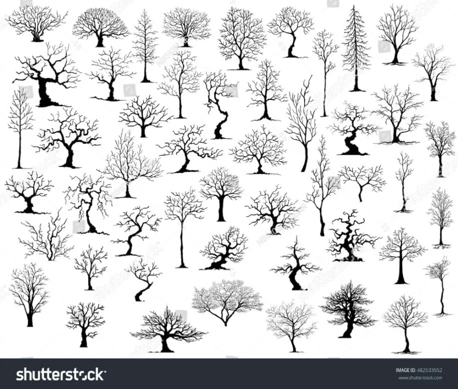 Tree Silhouettes