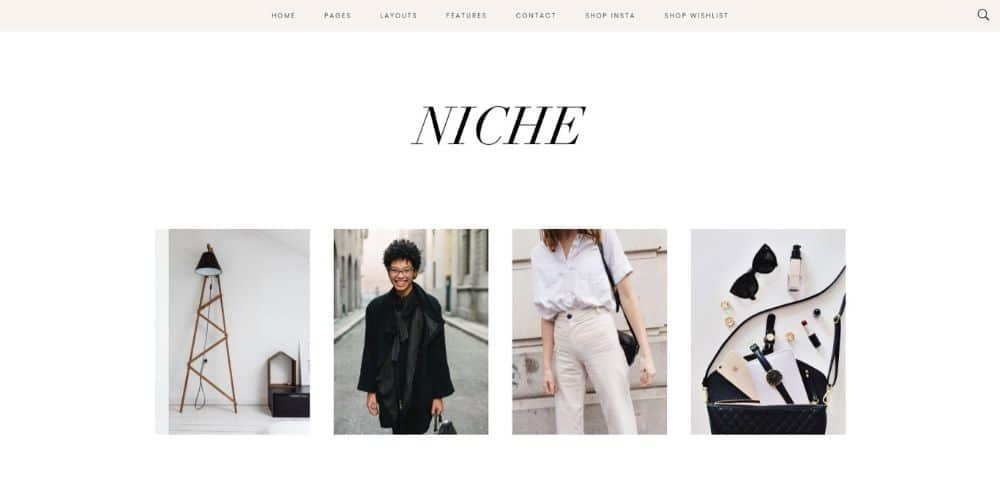 WordPress Themes for Affiliate Marketing: Niche