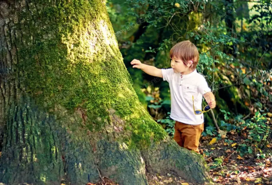 Cute little curious boy touching old tree