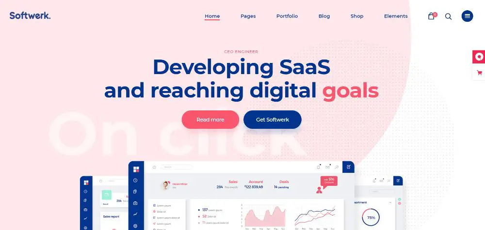 WordPress Themes for SAAS companies: Softwerk