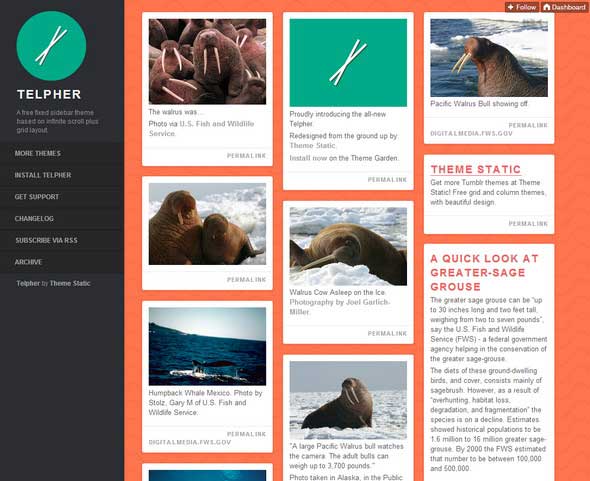  Telpher Tumblr Theme