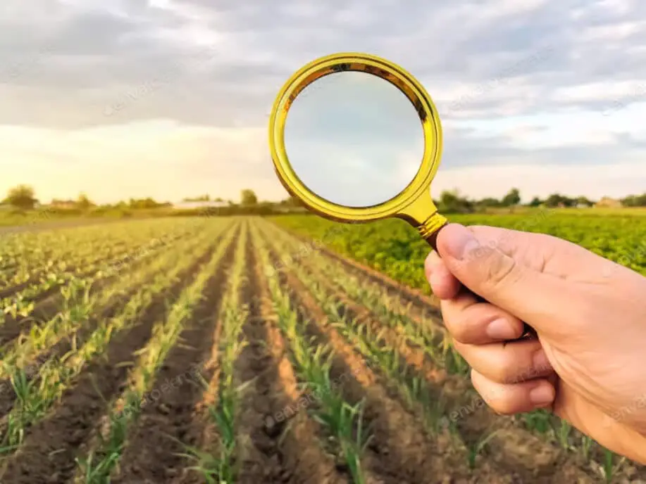 Agriculture Research