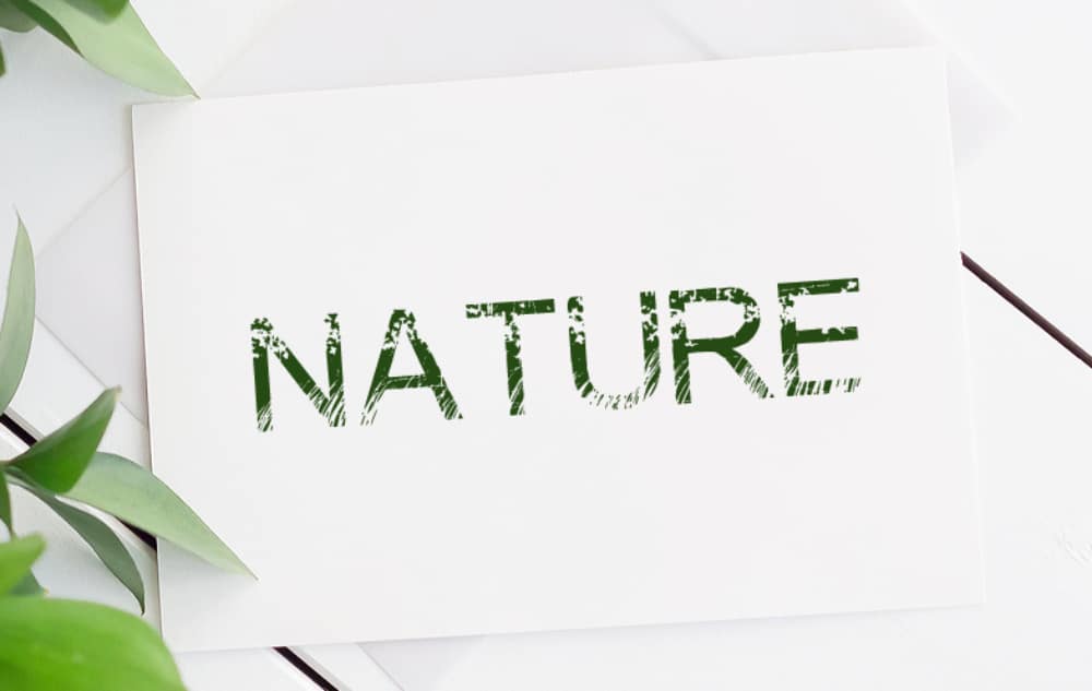 18 Creative Fonts Inspired by Nature