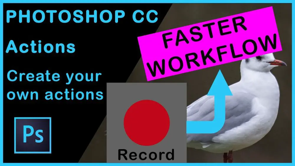 10 Tutorials to Create Your Own Photoshop Actions