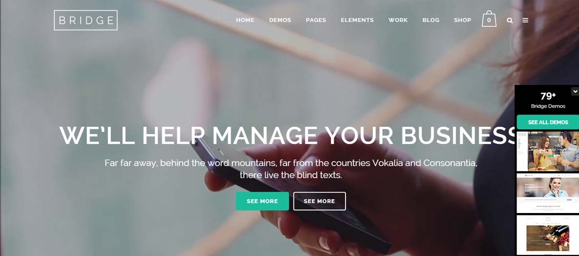 Bridge - Creative Multi-Purpose WordPress Theme