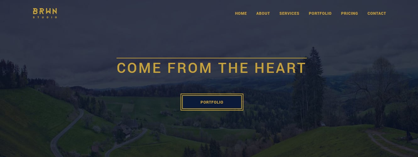 BRWN OnePage Responsive WordPress Theme