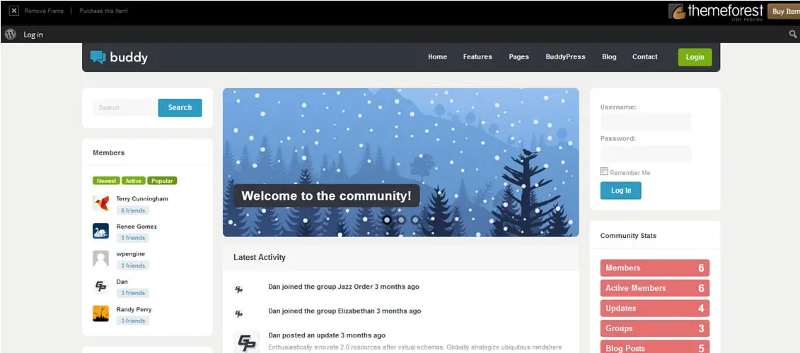 Buddy Multi-purpose WordPress & BuddyPress Theme