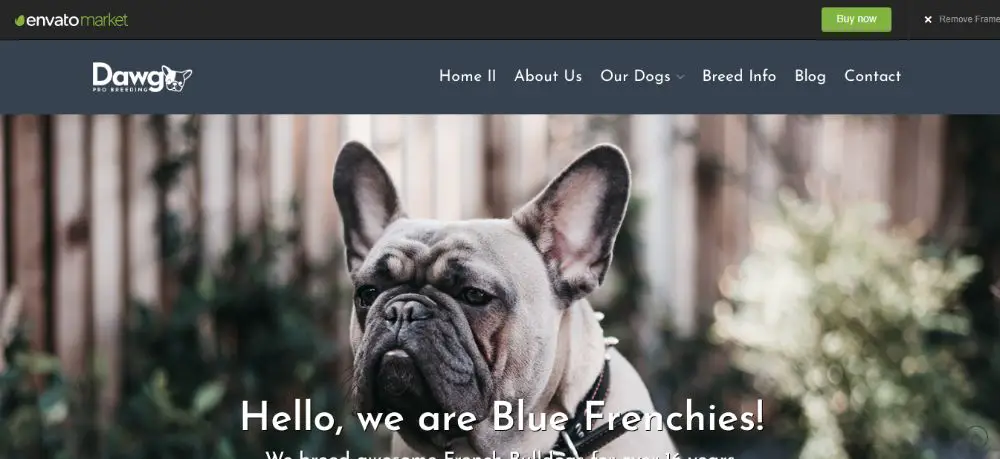 WordPress Child Theme - Dawg