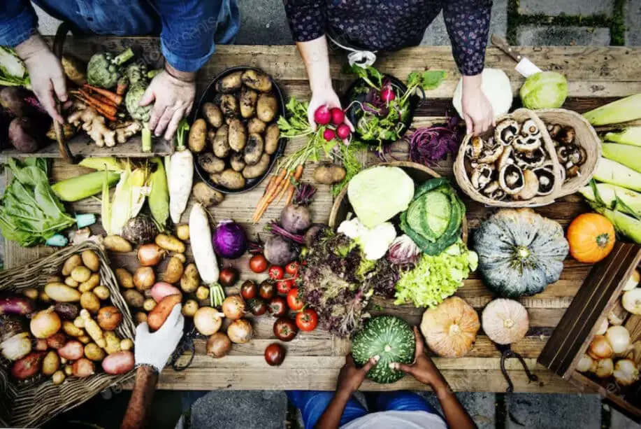 Organic various vegetables on a wooden table