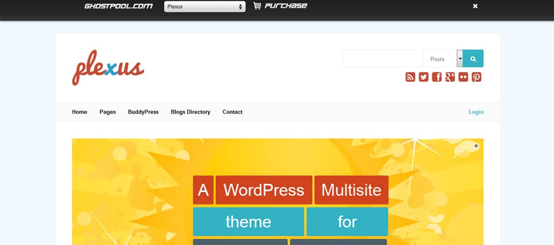 Plexus Network WordPress & BuddyPress Theme