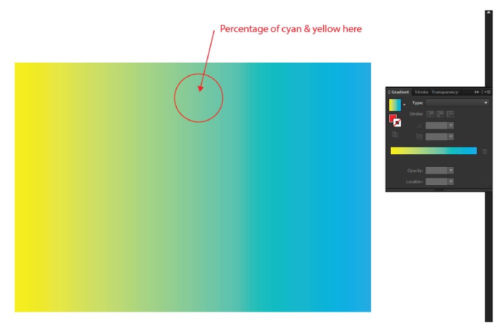 Position and proportion of colors