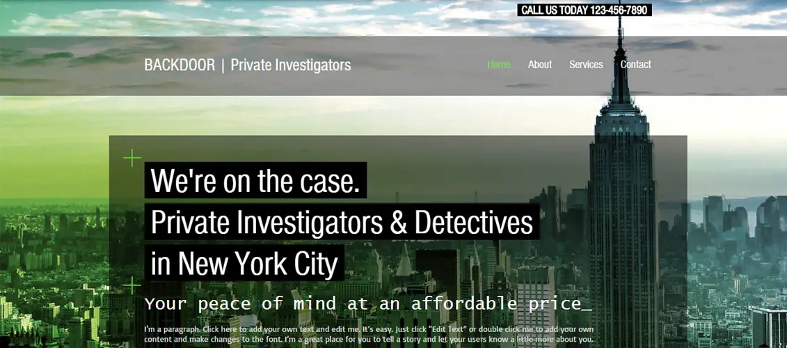 Private Investigators