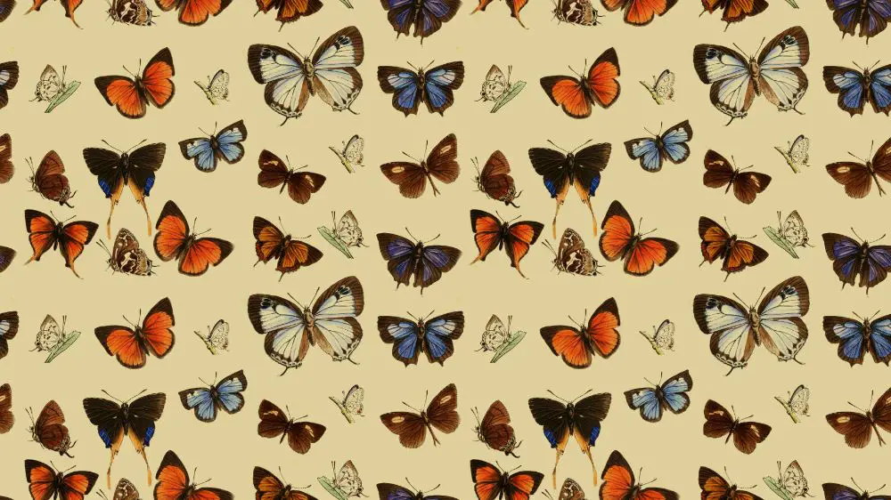 seamless vintage butterfly pattern