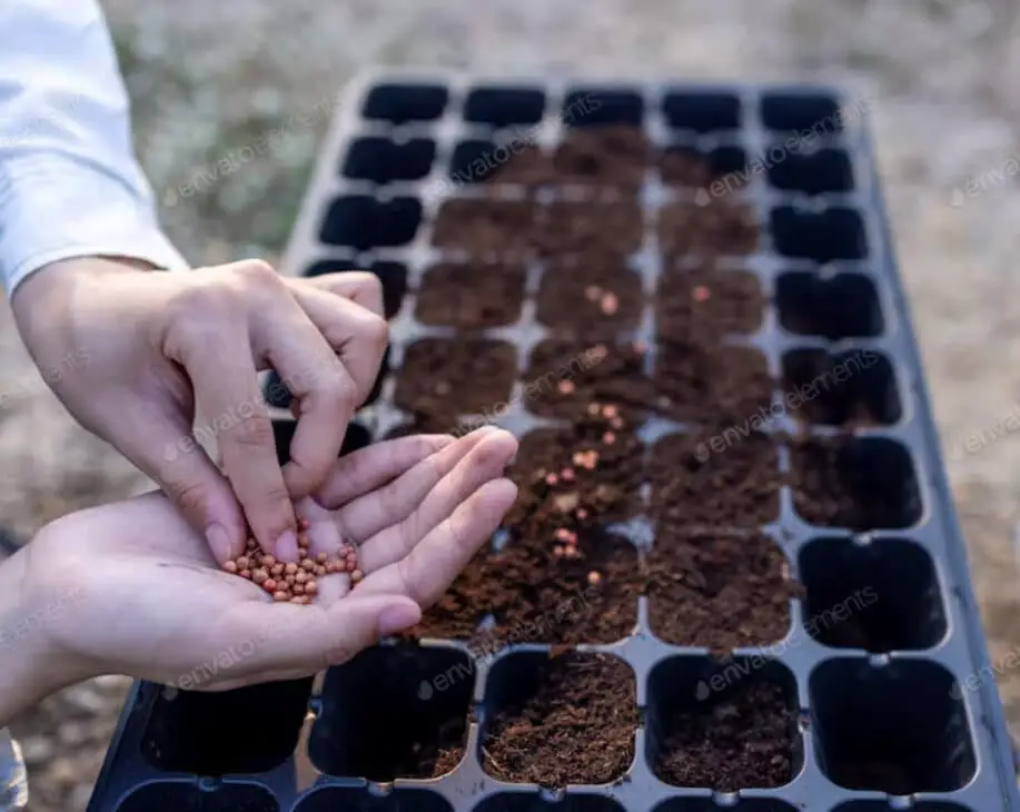 Soil Stock Image