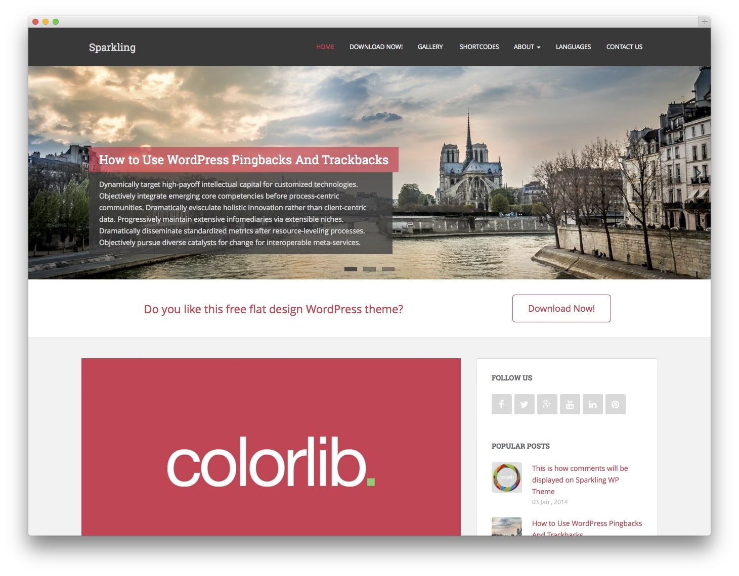 Sparkling Free Bootstrap WordPress Themes