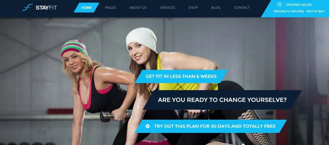 Stayfit Digital Downloads Website Templates