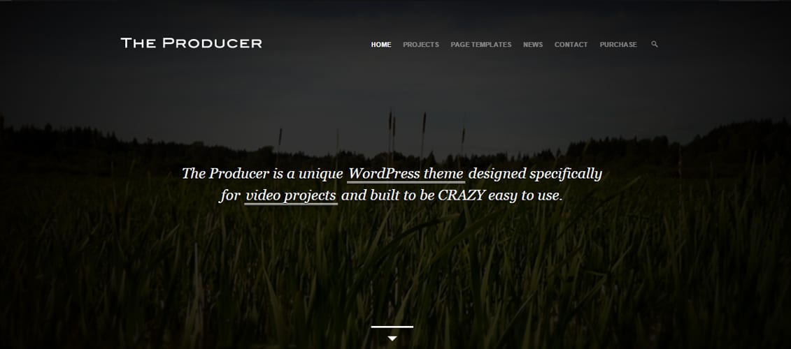 The Producer Responsive Film Studio Theme