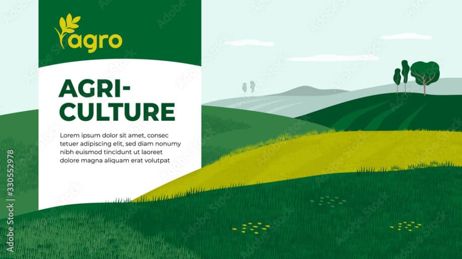 Vector illustration of landscape with agricultural fields