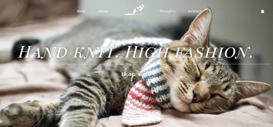 Website hero image example: Catscarf