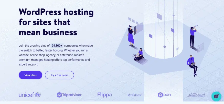 Website hero image example: Kinsta