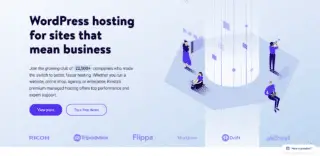 Kinsta WordPress Hosting Review top image of Kinsta's homepage